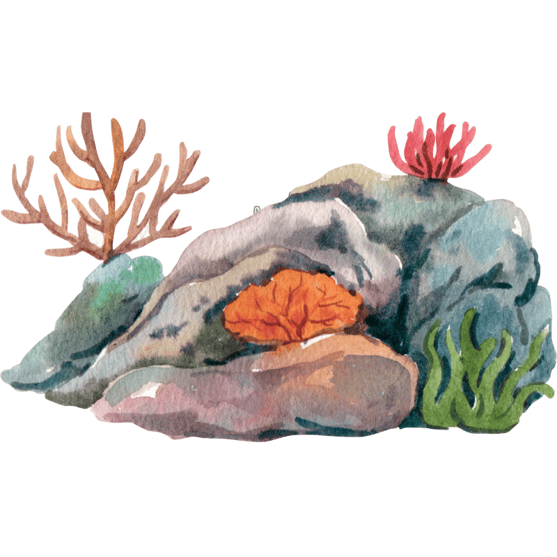 gonzalez-pech-lab-coral-1 gonzalez-pech-lab-coral-1