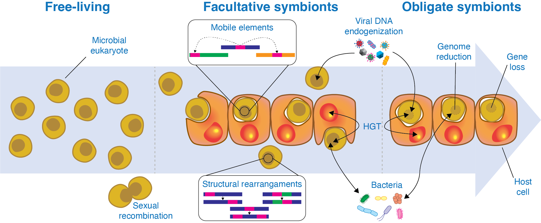 GenomeEvolution