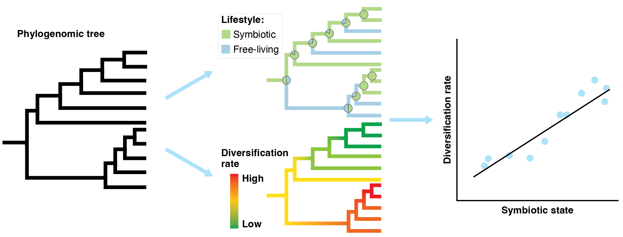 Phylogenomics